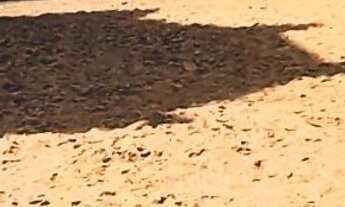 Imagem 5: Apartamento á venda Dona Lindu I