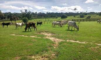 Imagem 4: Vende-se fazenda porteira fechada em mucajai