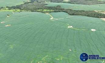 Imagem 3: Fazenda à Venda em Abadiânia - GO