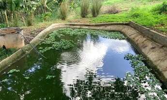 Imagem 4: Sito 20.00m² excelente casa nova, criatório de peixe, arvores frutíferas, Jaboticatubas