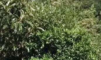 Imagem 2: Casa à venda em QD 4033 SANTO ANTONIO, Caxias do Sul