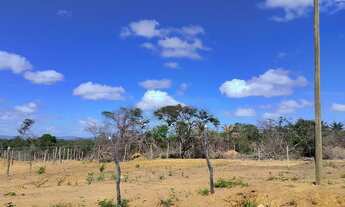 Imagem 4: Terreno próximo ao capão do mel