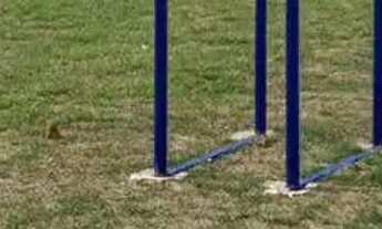 Imagem 6: CASA NOVA CONDOMÍNIO GUARÁ, 2 QUARTOS, S/ NADA, REGIÃO DISTRITO INDUSTRIAL, IMIGRANTES