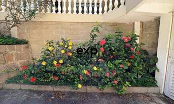 Imagem 4: Chácara com 600 m2 em Joaquim Egídio com 9 quartos, sendo 5 suítes, em 12.000 m2