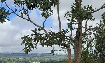 Imagem 5: Terreno 5000! Lagoa Formosa! Bela Vista