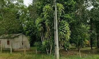 Imagem 2: Terreno com 11.809,99m²