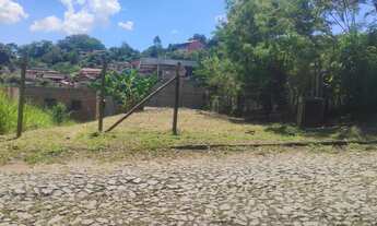 Imagem: Lote plano rua principal bairro Nova Esperança
