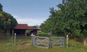 Imagem 5: Sítio de 9,6 hectares na região do município de PoconéMT