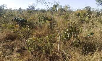 Imagem 7: TERRENOS DE 1000m² EM CHAPADA DOS GUIMARÃES