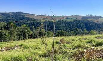 Imagem 2: Oportunidade de Investimento em Condomínio no Bairro Colégio 500m²