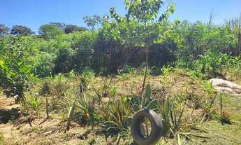 Imagem 3: Chácara 5000m² 17 km do Industrial, C/Casa, Energia, Internet e Agua Corrente, R$ 280.000