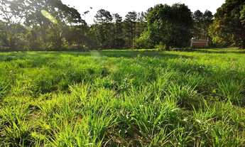 Imagem 3: Lote em Rua dos Expedicionários - Sousas - Campinas/SP
