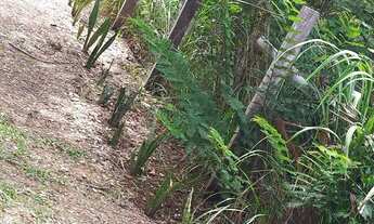 Imagem 4: Casa com três terrenos juntos de 12 x 30 cada, totalizando 1.000 M² no condomíni