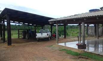 Imagem 6: Faznda no baliza roraima