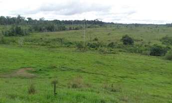 Imagem 4: Inperdivel fazenda em roraima