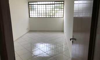 Imagem: Apartamento Paranavaí - Aluguel