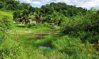 Imagem 7: Fazenda em Uruará/PA