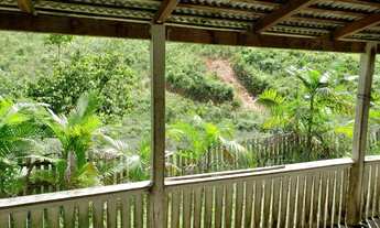 Imagem 4: Fazenda em Uruará/PA