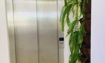 Imagem 3: NATAL - Padrão - Tirol