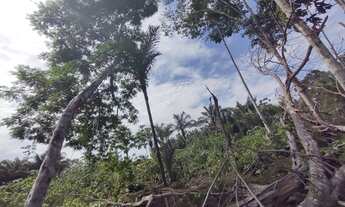 Imagem 6: Lote no ramal do janauari 50x60