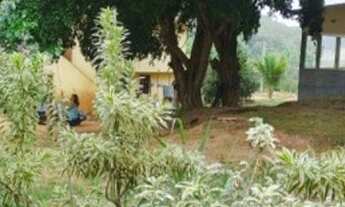 Imagem 7: Alugo sitio com terreno 2000 m2 e lagoa com Deck