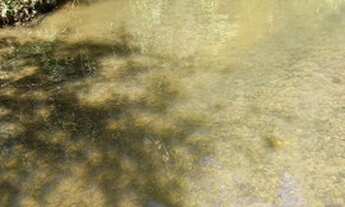 Imagem 7: Terreno com 6 hectares