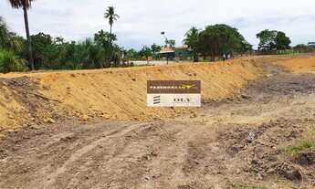 Imagem 6: Fazenda Extra - Região de Crixás-GO ! 136 Alqueires ! Oportunidade !