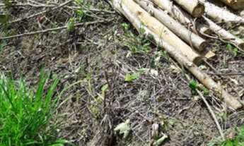 Imagem 4: 8 alqueires...Miracatú SP...oportunidade