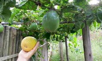 Imagem 6: SÃO MIGUEL ARCANJO - Chácara - Zona Rural