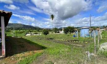 Imagem 3: Sítio bem situado no povoado lagoa do forno , próx BR 235