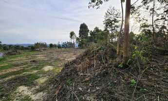 Imagem 2: Lote/Terreno para venda tem 900 metros quadrados em Centro - Leoberto Leal - SC