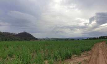 Imagem 4: Sítio Cajuru em Cana de açúcar