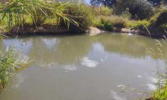 Imagem 7: Fazenda/Sírio/ chácara no Incra 06