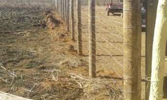 Imagem: Lote na Cidade promissão top