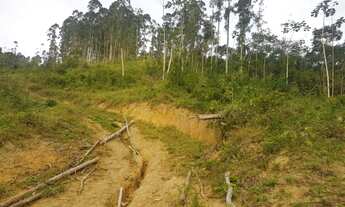 Imagem 2: Área Rural Camboriú