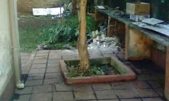 Imagem 3: Imóvel 304 mts casa Verde alta