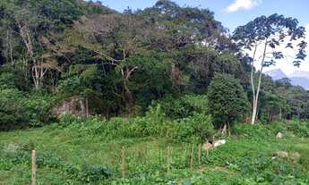 Imagem 4: Terreno totalmente plano e aproveitável