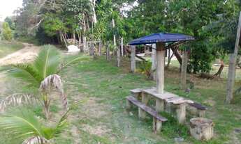 Imagem 4: Sítio Chácara com venda por R$60.000