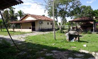 Imagem 7: Fazenda para Venda em Macaé, Cabiúnas, 2 dormitórios