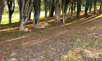 Imagem 6: Aceitamos veículos no valor da tabela FIPE! Não perca essa oportunidade! HP