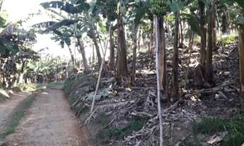 Imagem 5: 8 alqueires...Miracatú SP...oportunidade