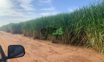 Imagem 1: Fazenda com 109 alqueires, - em CANA ARRENDADA, à venda por R$ 25.000.000,00 - em Itápolis