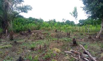 Imagem 2: Terreno na ilha ponta de Areia