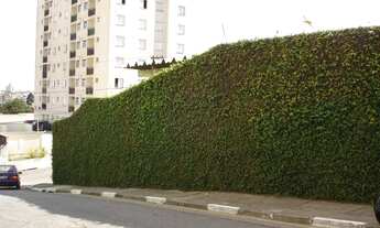 Imagem 6: SÃO PAULO - Galpao/Deposito/Armazem - JABAQUARA