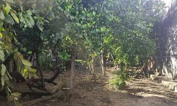 Imagem 2: Terreno no Santíssimo