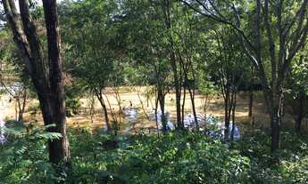 Imagem 4: Fazenda/Sítio/Chácara com casa e pomar em Santana do Pirapama/MG