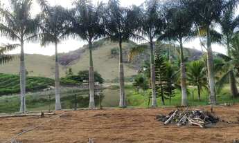 Imagem 2: Terra com 17mil pés de café