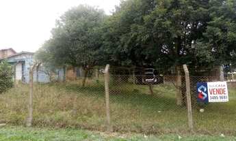 Imagem 6: Viamão - Terreno Padrão - Florescente