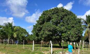 Imagem 3: Terreno na Várzea Grande