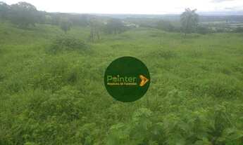 Imagem 4: Fazenda à venda, 1306800 m² por R$ 6.750.000,00 - Zona Rural - Piracanjuba/GO